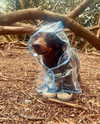 puppiwii Altpins Profile Picture