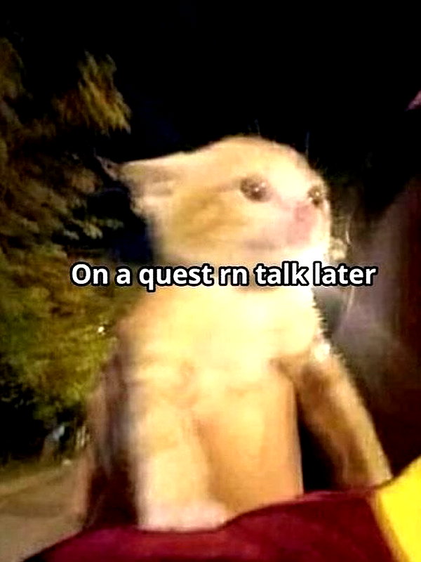 puppiwii instagram image archive image