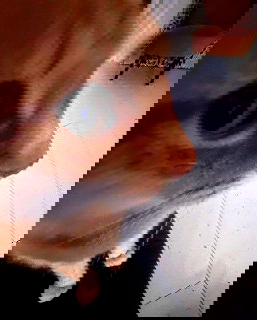 purrrik purrrik archive image