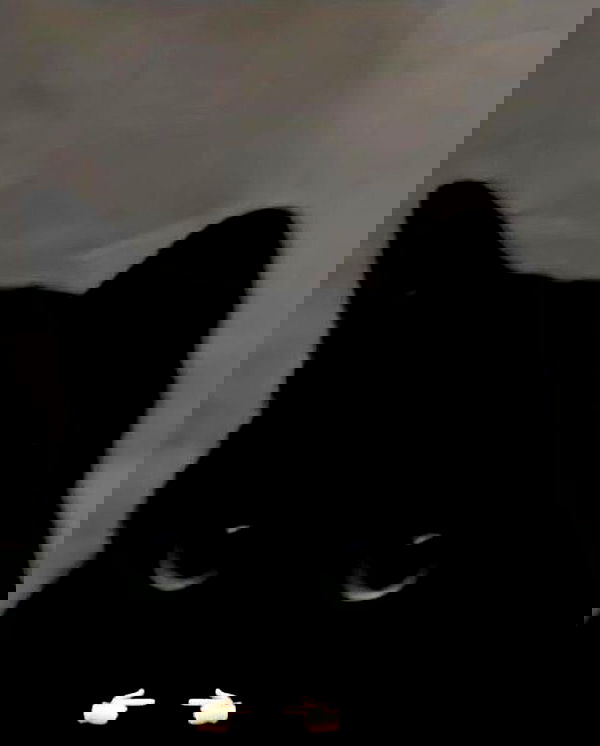 purrrik purrrik archive image