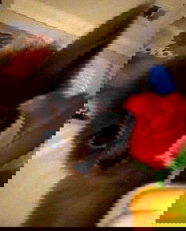 purrrik purrrik archive image