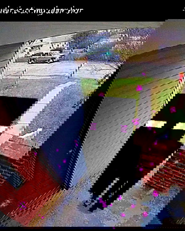 purrrik purrrik archive image