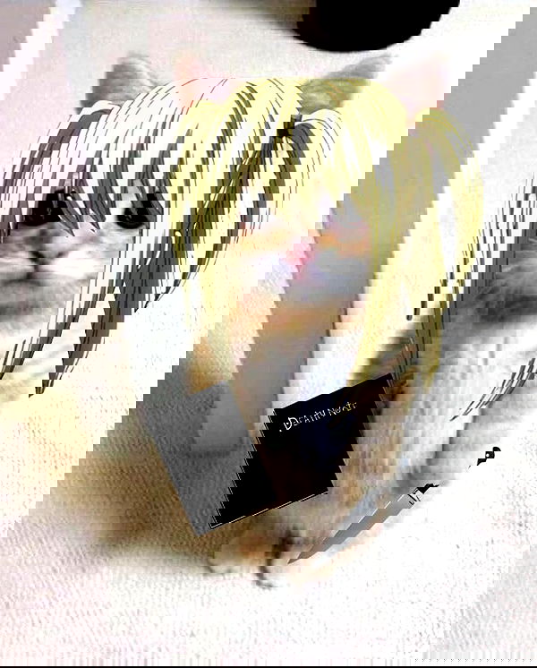 purrrik purrrik archive image