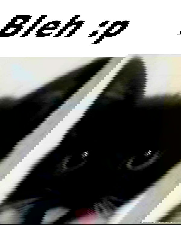 purrrik purrrik archive image