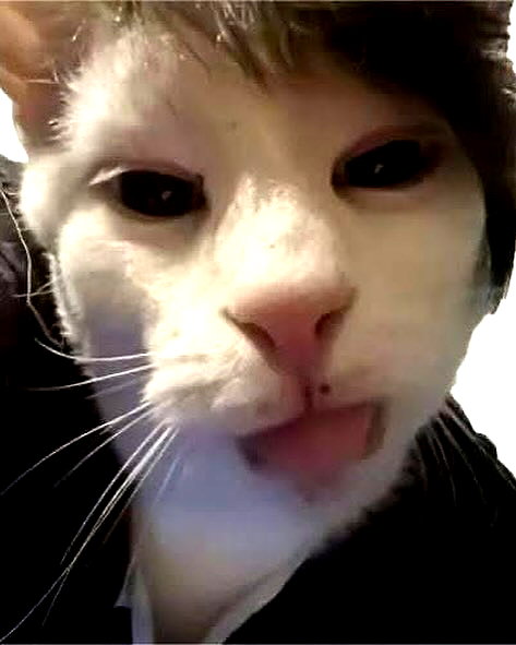 pynek2 instagram image archive image