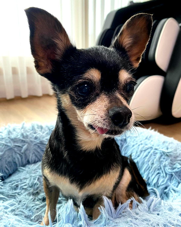 pzychokiss instagram image archive image