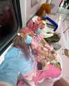 qiiqiiqiiqiiiii Altpins Profile Picture