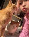 qiiqiiqiiqiiiii Altpins Profile Picture
