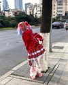qiiqiiqiiqiiiii Altpins Profile Picture