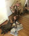 qiiqiiqiiqiiiii Altpins Profile Picture