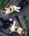 qiiqiiqiiqiiiii Altpins Profile Picture