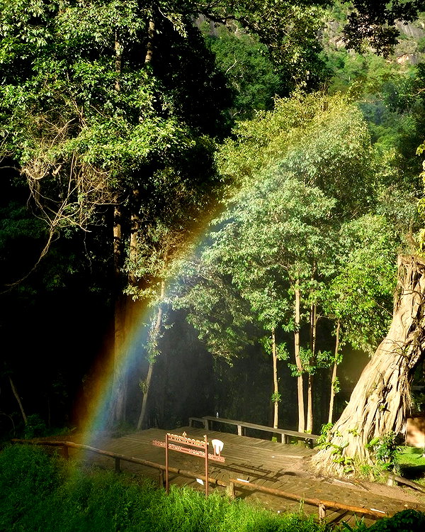 qiyokiuu instagram image archive image