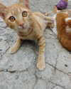 qiyokiuu Altpins Profile Picture