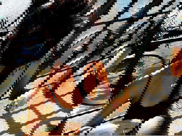 qiyokiuu qiyokiuu archive image