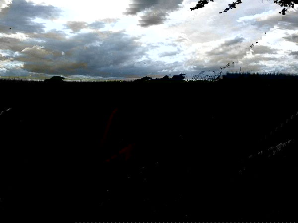 qiyokiuu qiyokiuu archive image