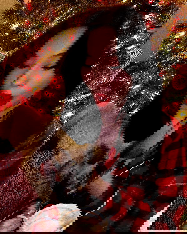 quarterjade quarterjade archive image