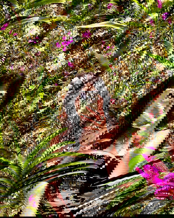 quarterjade quarterjade archive image