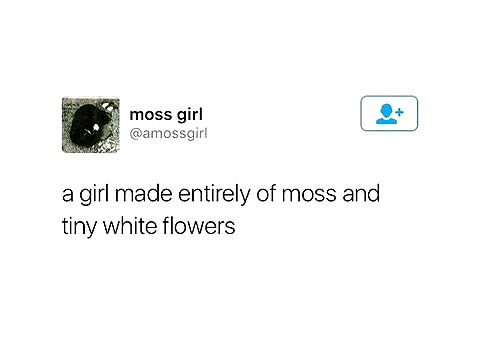 quarterjade quarterjade archive image