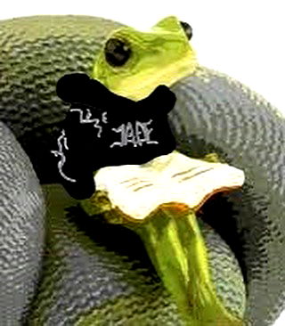 quarterjade quarterjade archive image