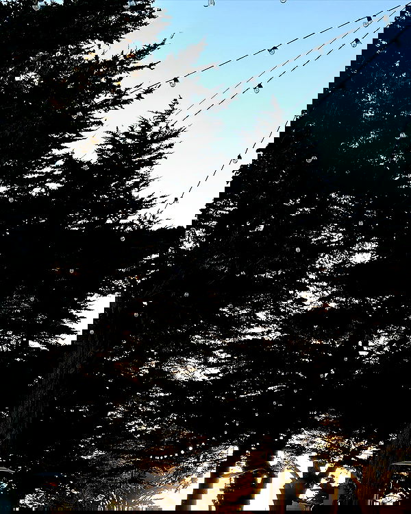 quarterjade quarterjade archive image