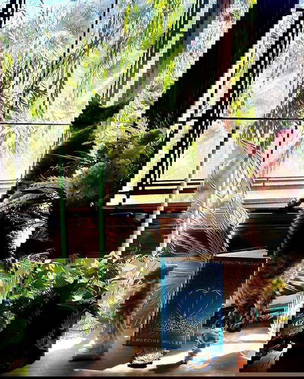 quarterjade quarterjade archive image