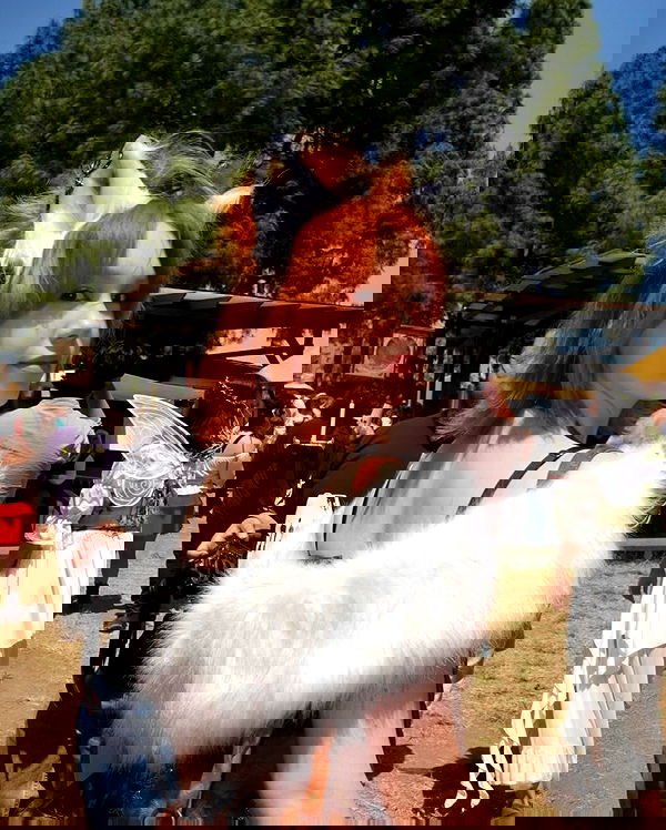 quarterjade quarterjade archive image