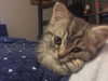 queen.nephie Altpins Profile Picture