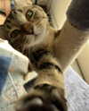 queen.nephie Altpins Profile Picture