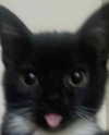 queen.nephie Altpins Profile Picture