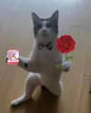queen.nephie Altpins Profile Picture