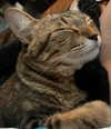 queen.nephie Altpins Profile Picture