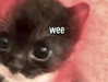 queen.nephie Altpins Profile Picture