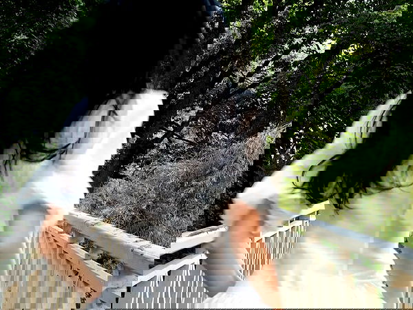 quincymood quincymood archive image