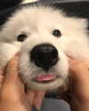 quitmell Altpins Profile Picture