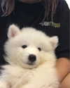 quitmell Altpins Profile Picture