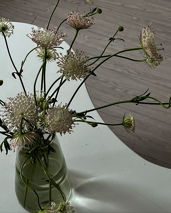 quitmell instagram image archive image