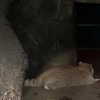 quitmell Altpins Profile Picture