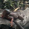 quitmell Altpins Profile Picture