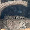 quitmell Altpins Profile Picture