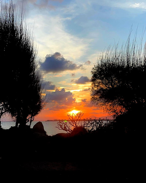 quitmell instagram image archive image
