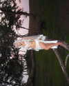 quitmell Altpins Profile Picture