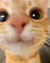 quitmell Altpins Profile Picture