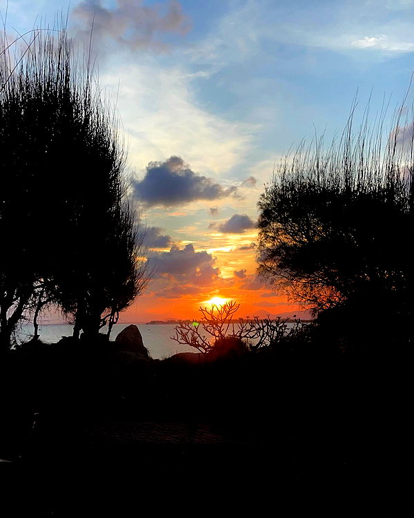 quitmell instagram image archive image