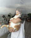 quitmell Altpins Profile Picture