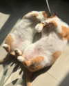 quitmell Altpins Profile Picture