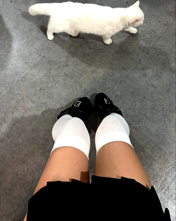 quitmell instagram image archive image