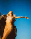 rafael.avcioglu Altpins Profile Picture