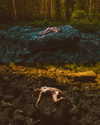 rafael.avcioglu Altpins Profile Picture