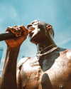 rafael.avcioglu Altpins Profile Picture