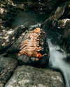 rafael.avcioglu Altpins Profile Picture